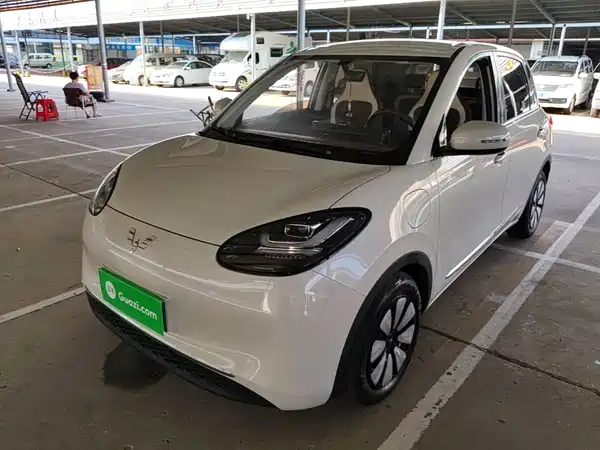 Wuling Bingo 2024