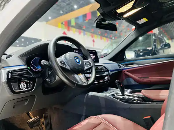 BMW 5 Series New Energy 2021