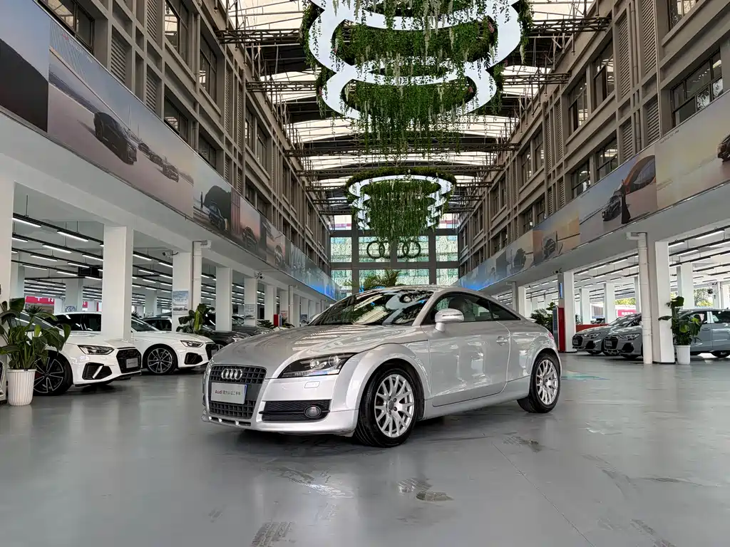Audi TT 2009