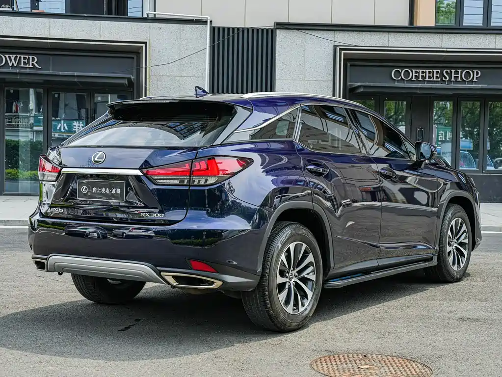 Lexus RX 2022 — фото 4