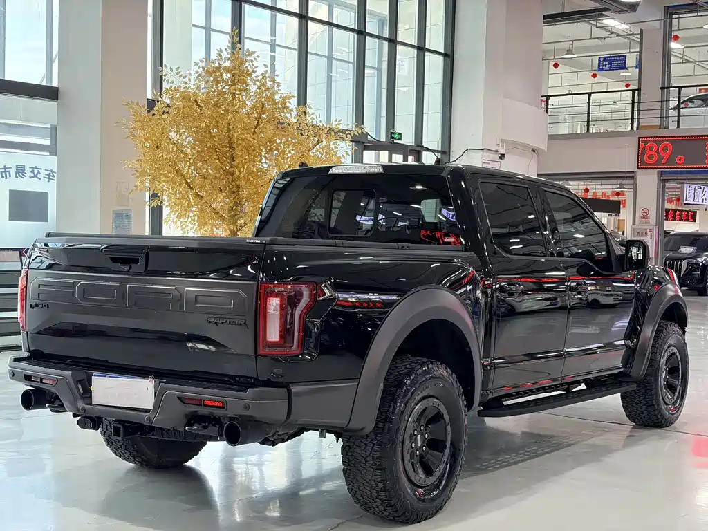 Ford F-150 Raptor 2018 — фото 9