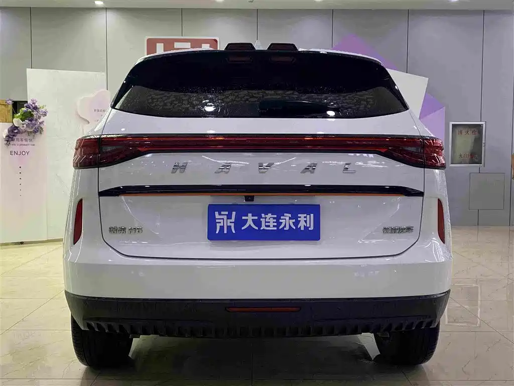 Haval H6 2023 — фото 16