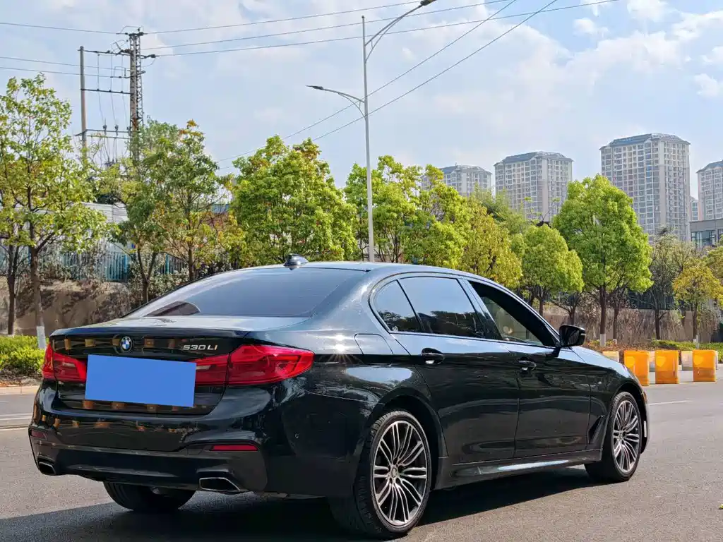 BMW 5 Series 2019 — фото 9