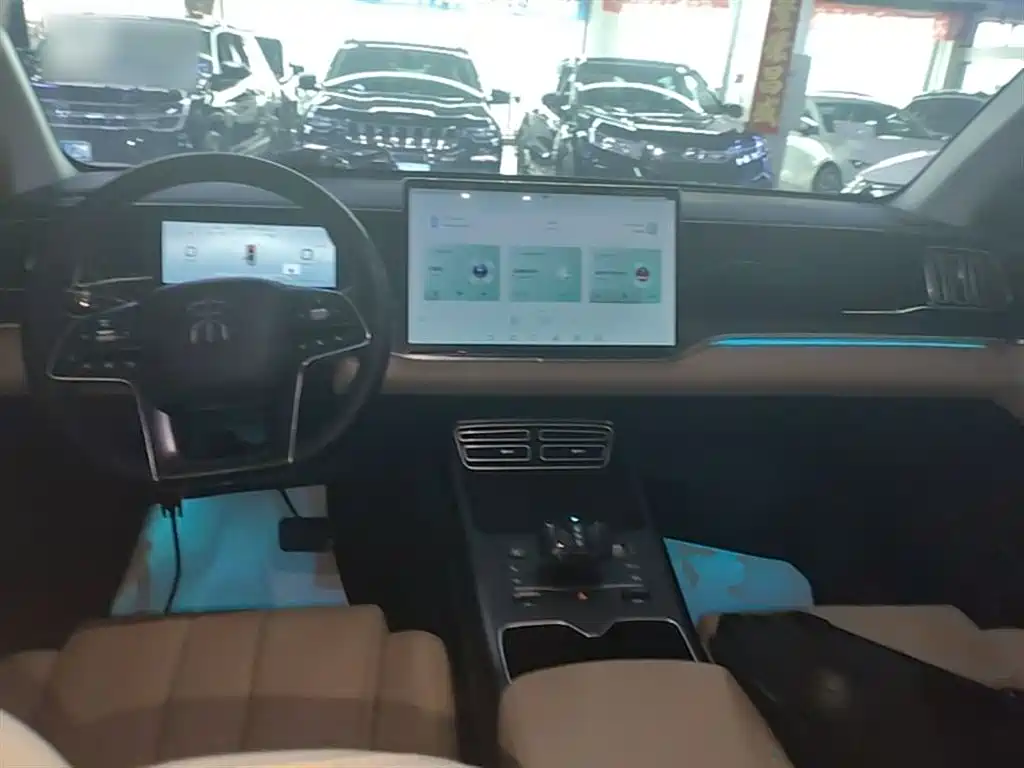 BYD Pro New Energy 2025 — фото 10
