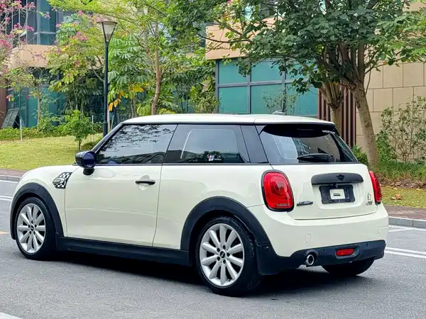 MINI MINI 2020