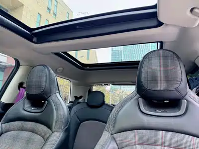 MINI MINI 2020