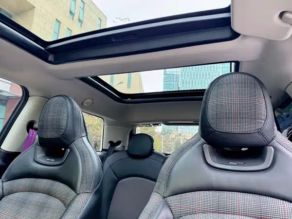 MINI MINI 2020