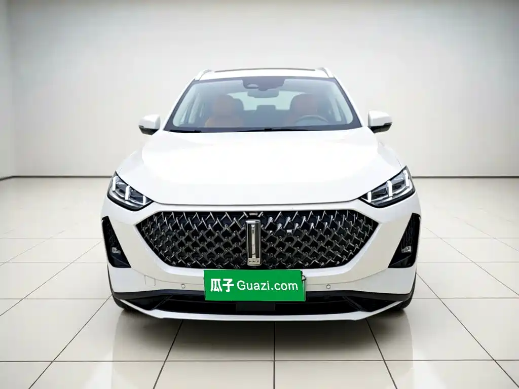 Wey Macchiato DHT-PHEV 2022 — фото 24