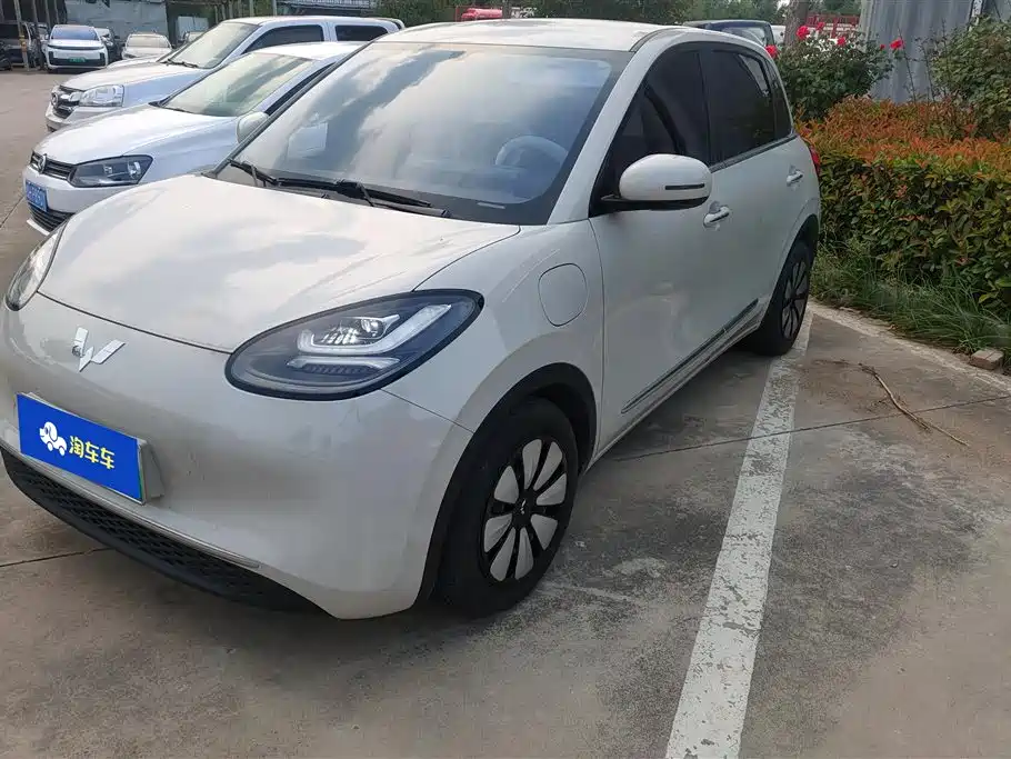 Wuling Bingo 2024