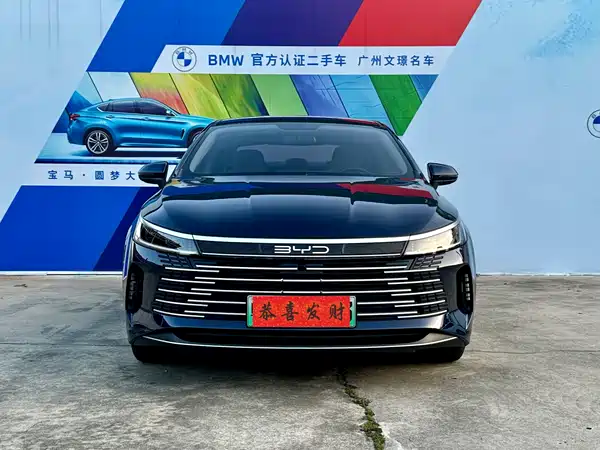 BYD Destroyer 05 2024