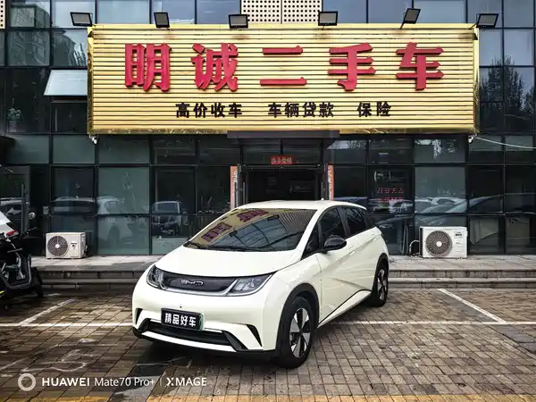 BYD Dolphin 2023