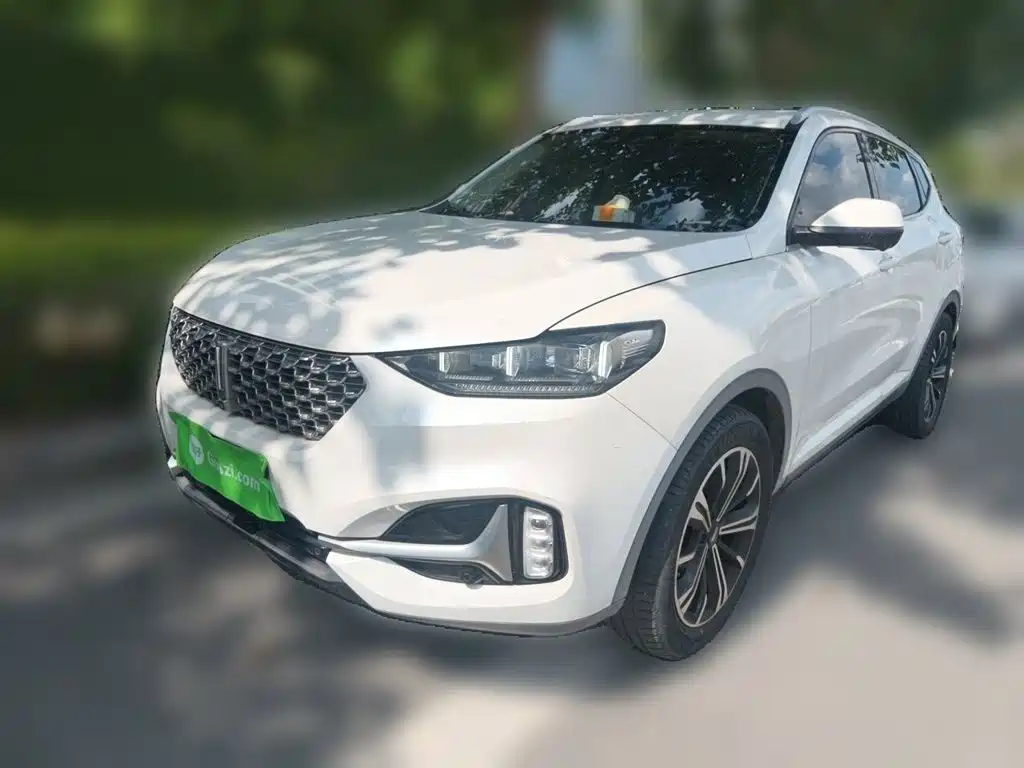 Wey VV6 2020