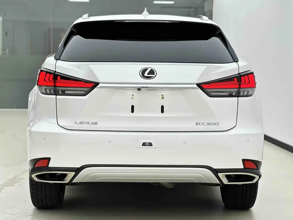 Lexus RX 2022 — фото 4