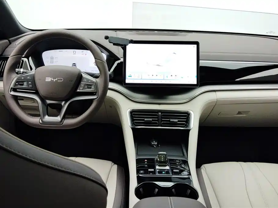 BYD PLUS New Energy 2025 — фото 12