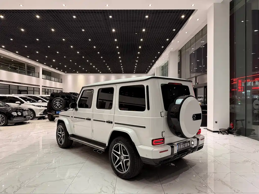 Mercedes-Benz G-Class 2023 — фото 18