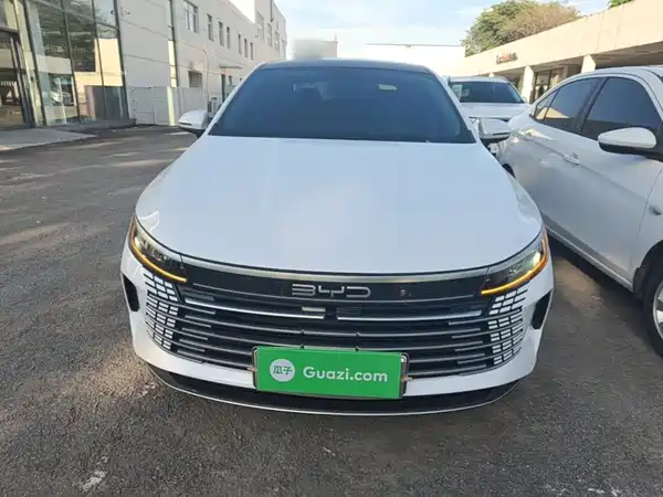 BYD Destroyer 05 2024