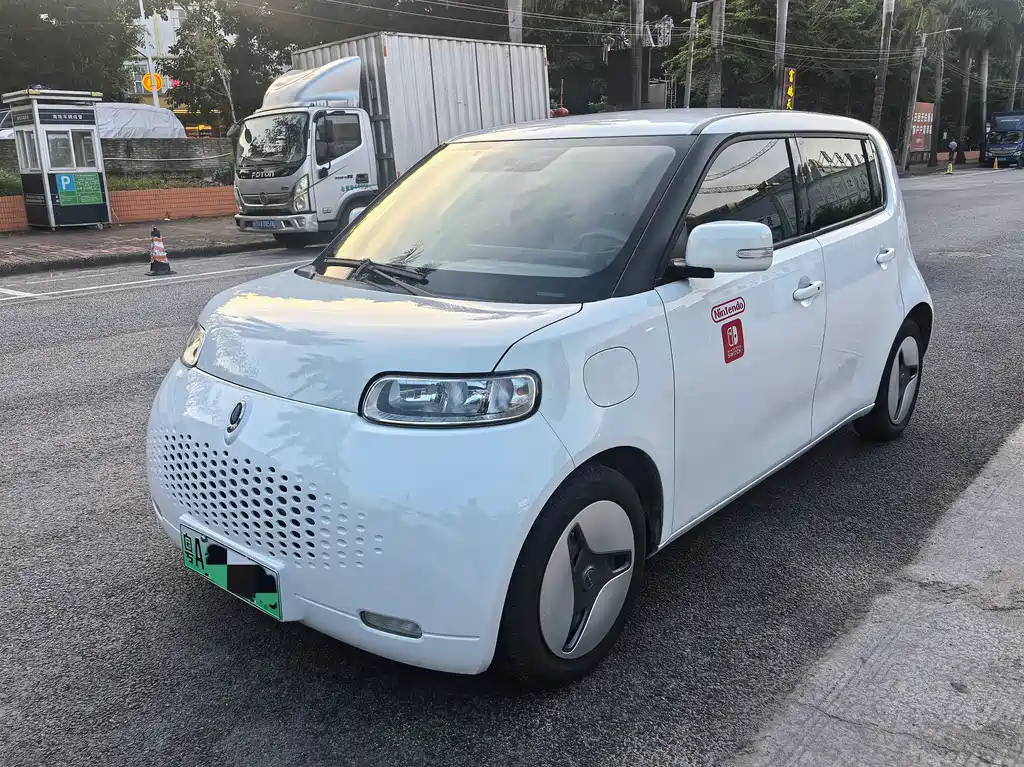 Ora White Cat 2021