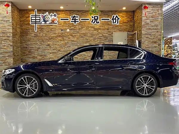 BMW 5 Series 2021