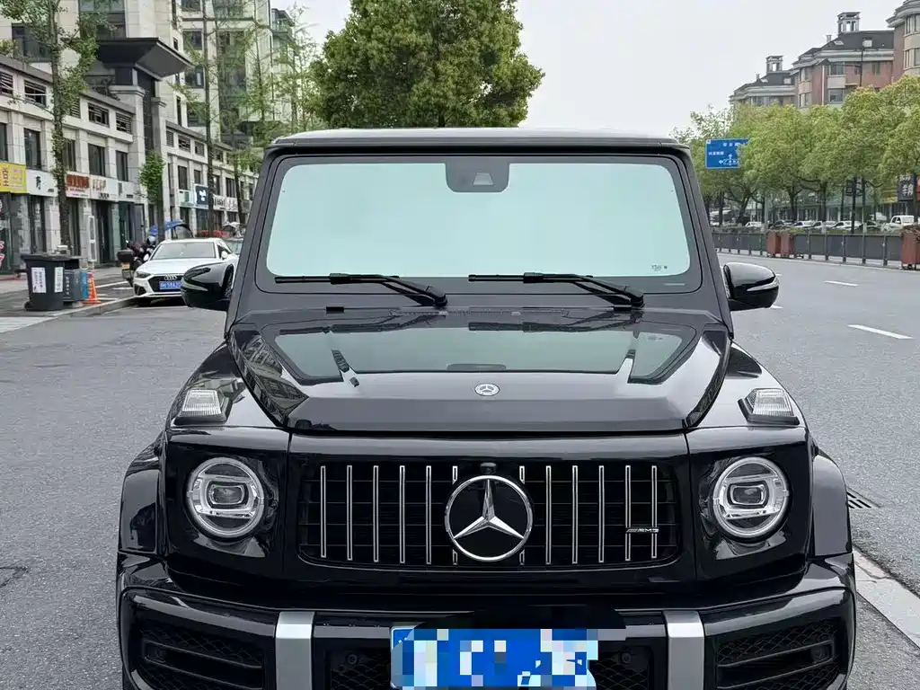 Mercedes-Benz G-Class 2019 — фото 1