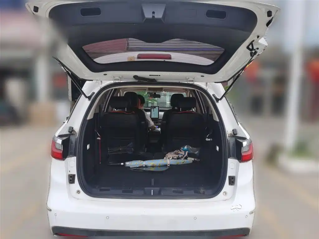 BYD MAX New Energy 2019 — фото 10