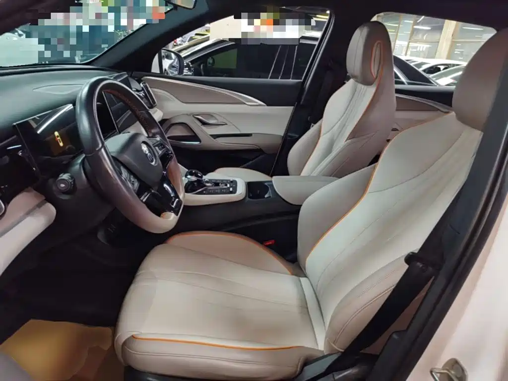 BYD Song Pro New Energy 2024 — фото 15
