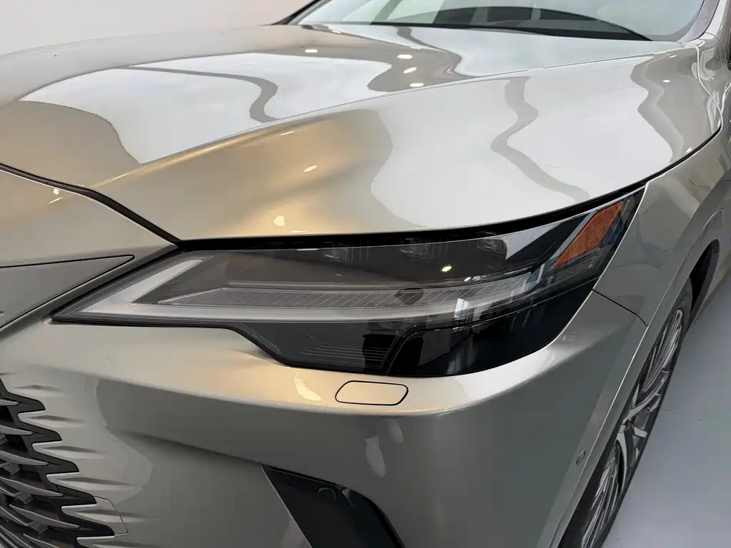 Lexus RX New Energy 2023 — фото 12