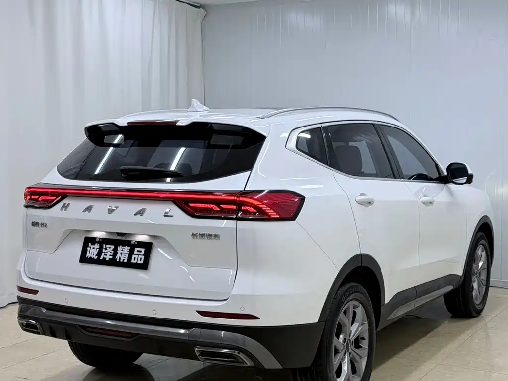 Haval H6 2023 — фото 4