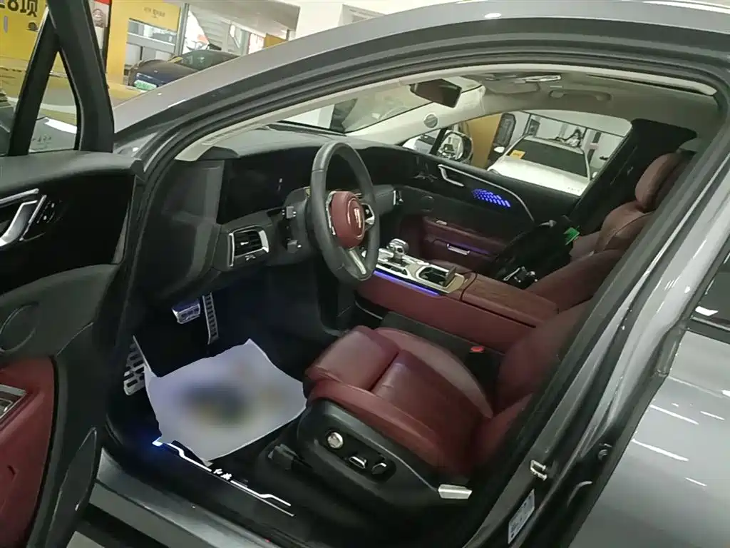 Hongqi E-HS9 2023 — фото 16