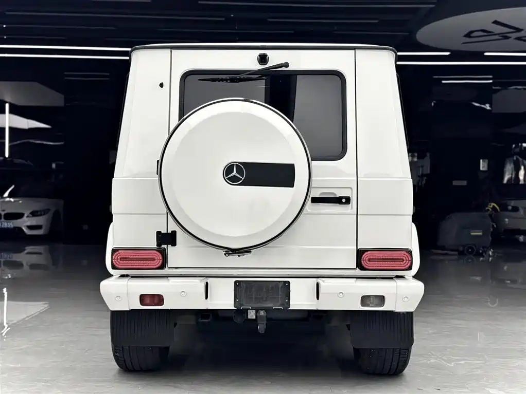 Mercedes-Benz G-Class 2016 — фото 17