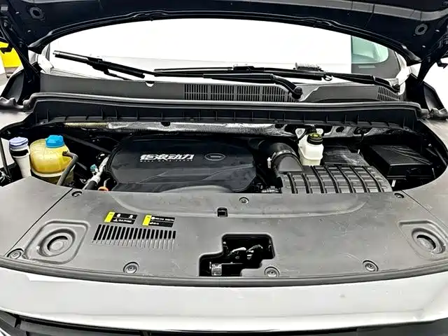 GAC Motor Trumpchi M8 2022 — фото 19