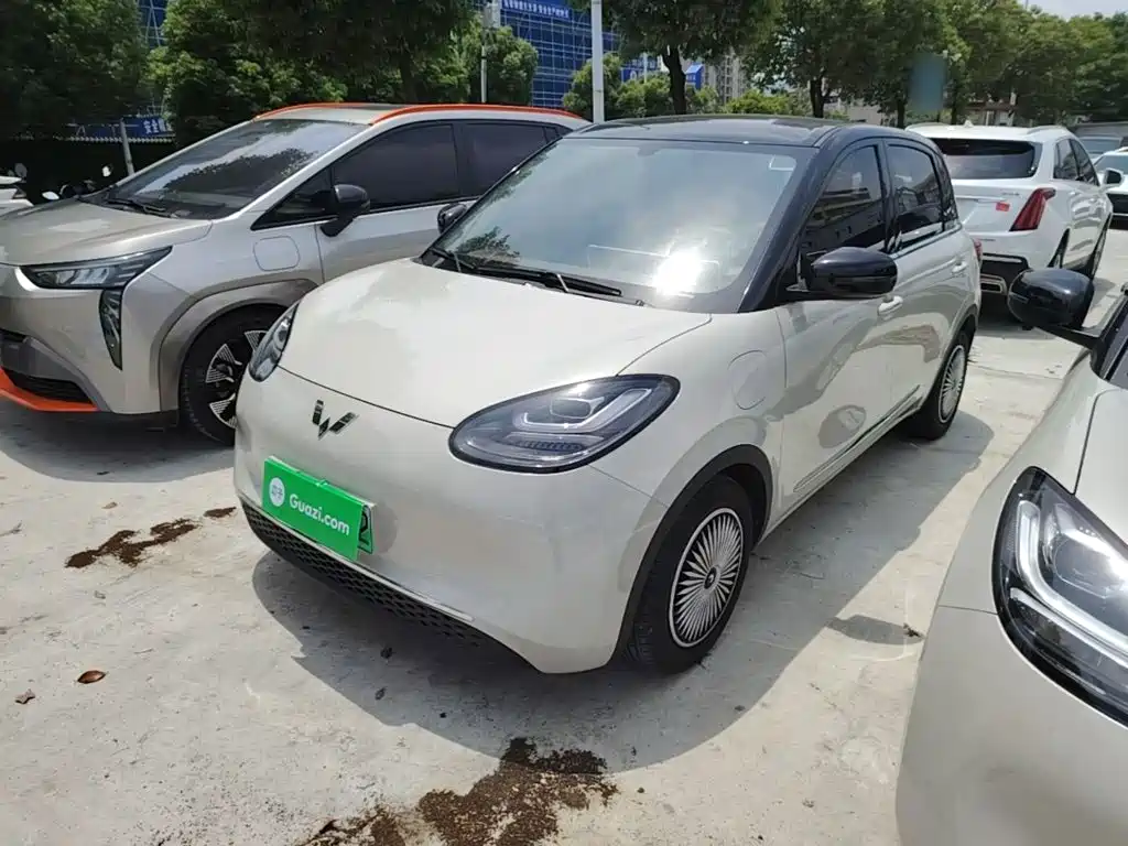 Wuling Bingo 2024