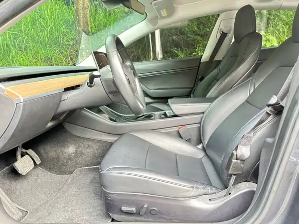 Tesla Model 3 2019