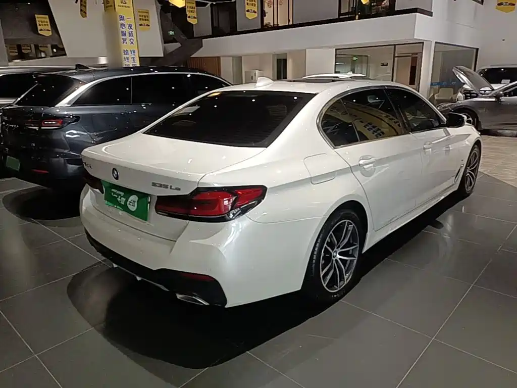 BMW 5 Series New Energy 2021