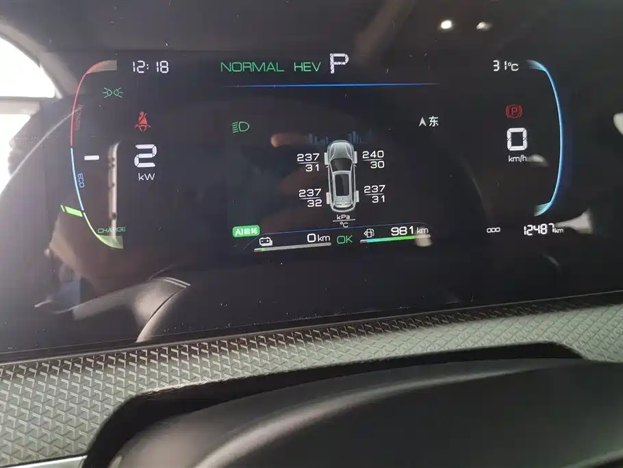 BYD Pro New Energy 2025 — фото 14
