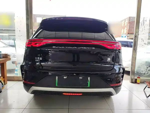 BYD Tang New Energy 2024
