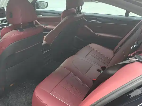 BMW 5 Series New Energy 2021