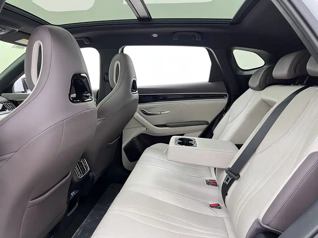BYD PLUS New Energy 2024 — фото 14