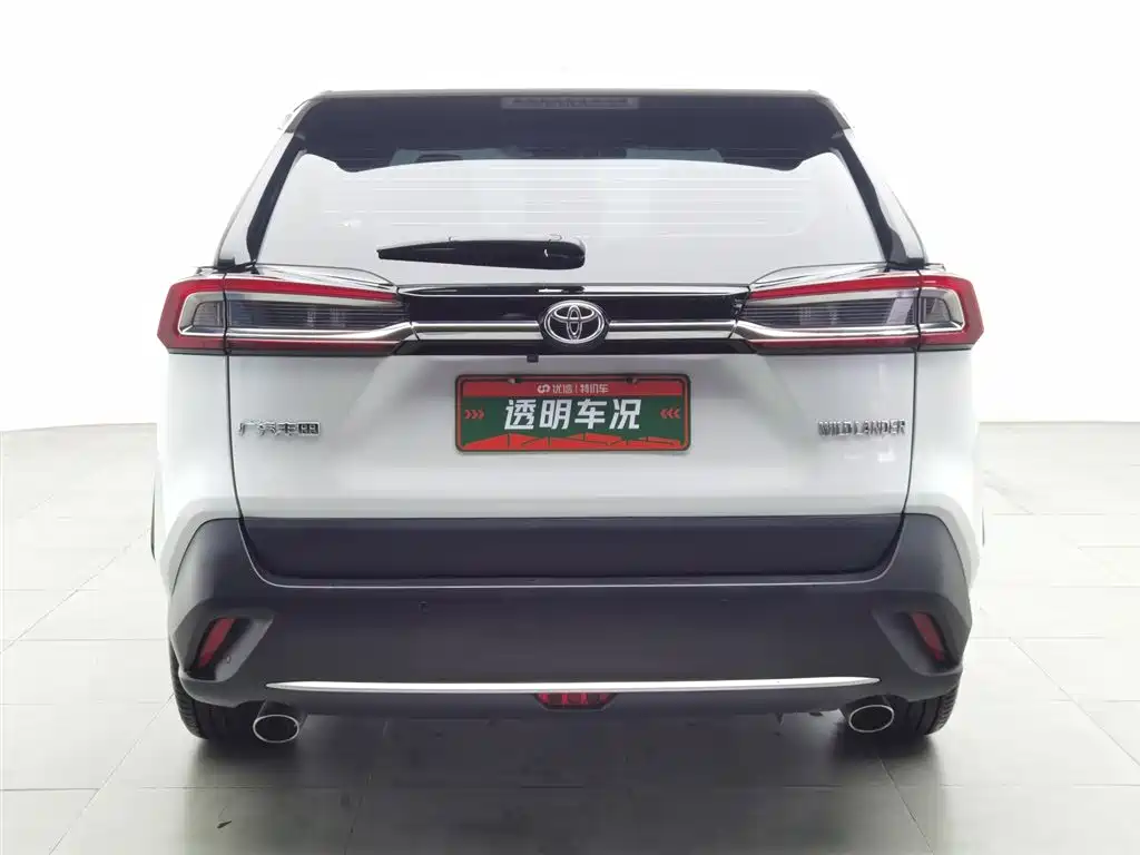 Toyota Wildlander 2022