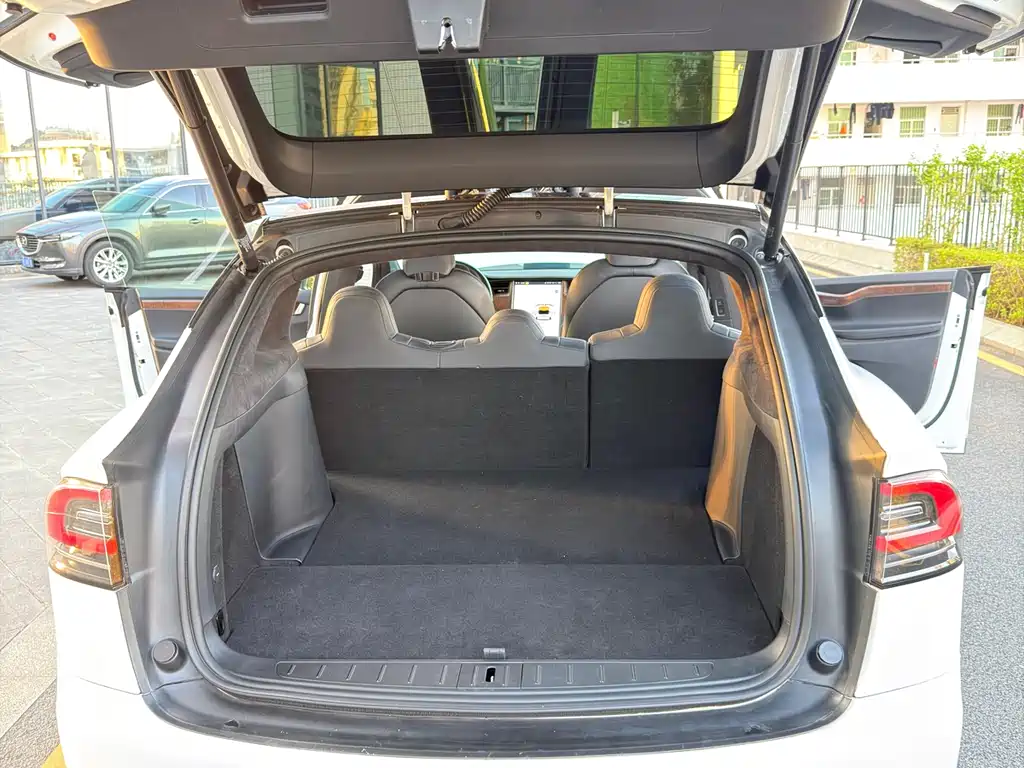 Tesla Model X 2020 — фото 16