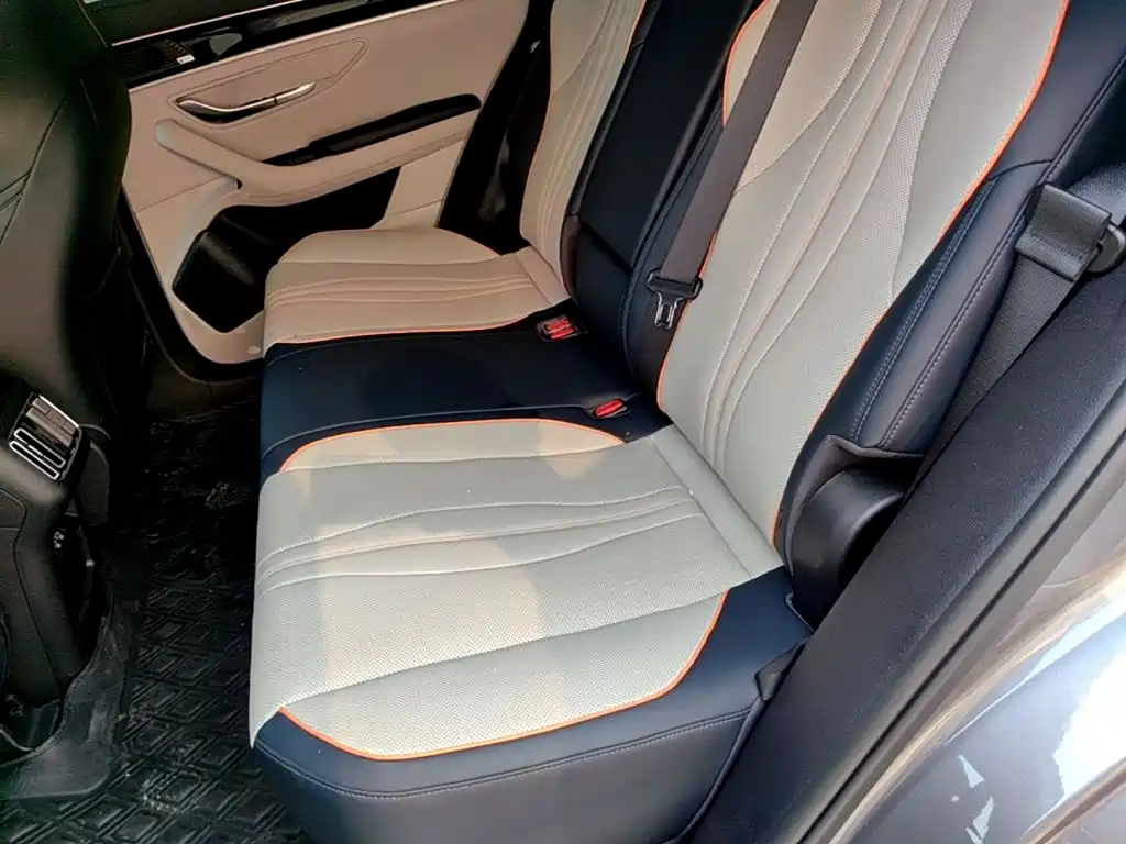 BYD Song PLUS New Energy 2022 — фото 17