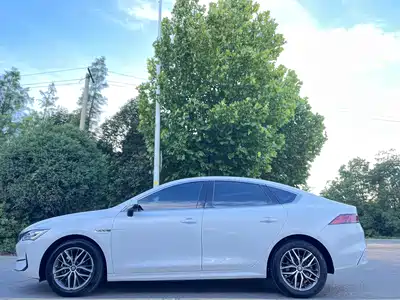 BYD Qin PLUS 2021