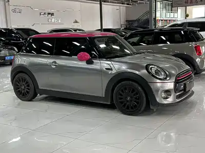 MINI MINI 2019