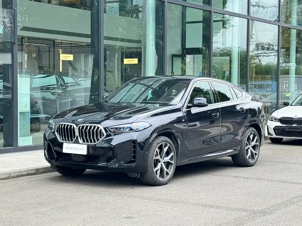 BMW X6 2024