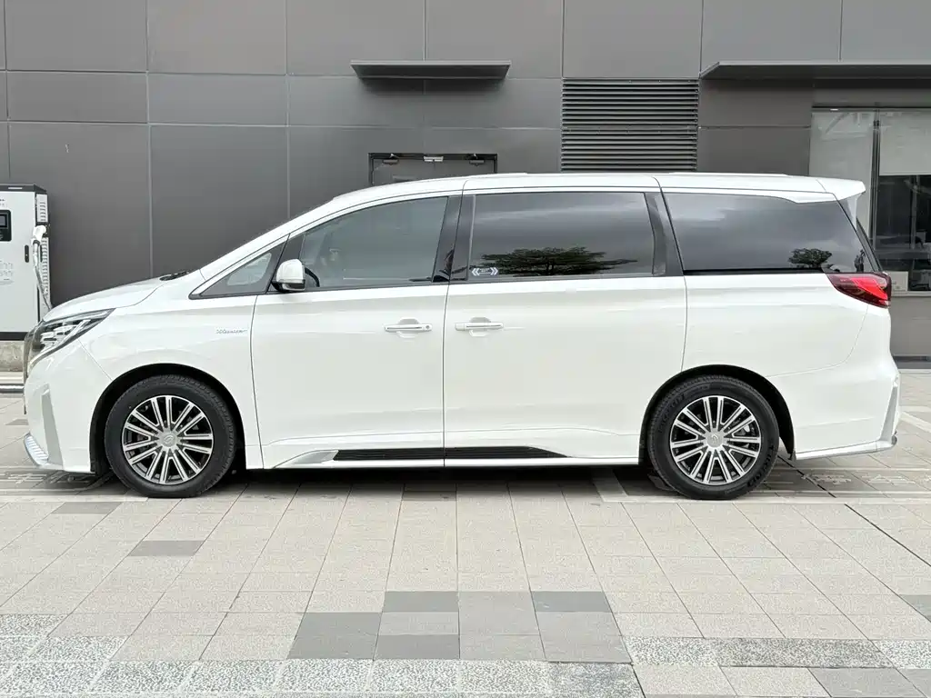 GAC Motor Trumpchi M8 2021 — фото 12