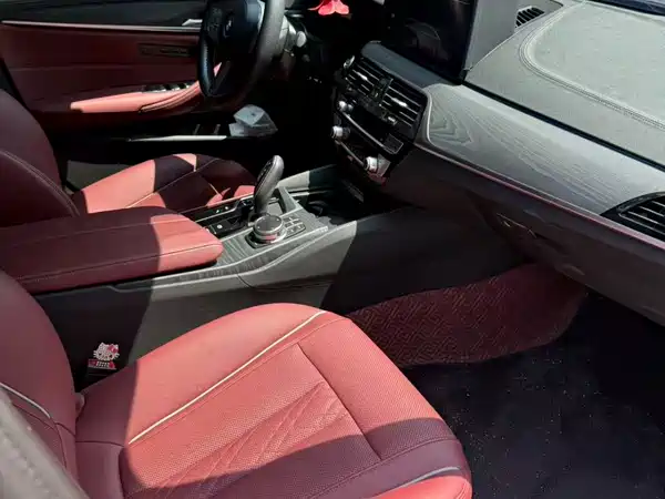 BMW 5 Series New Energy 2023