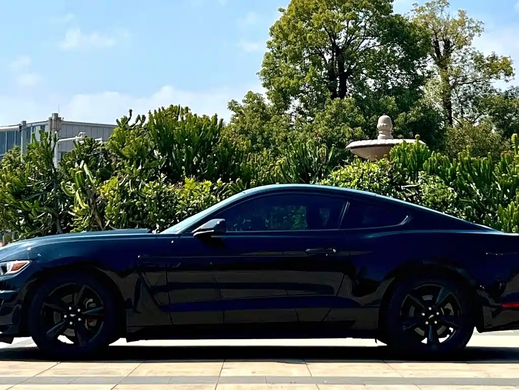 Ford Mustang 2017 — фото 7