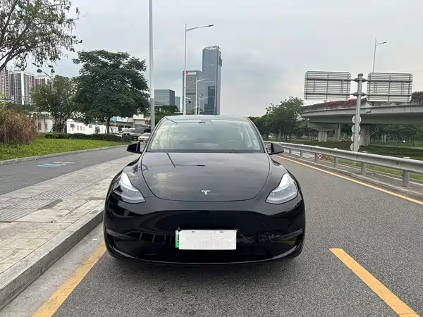 Tesla Model Y 2021