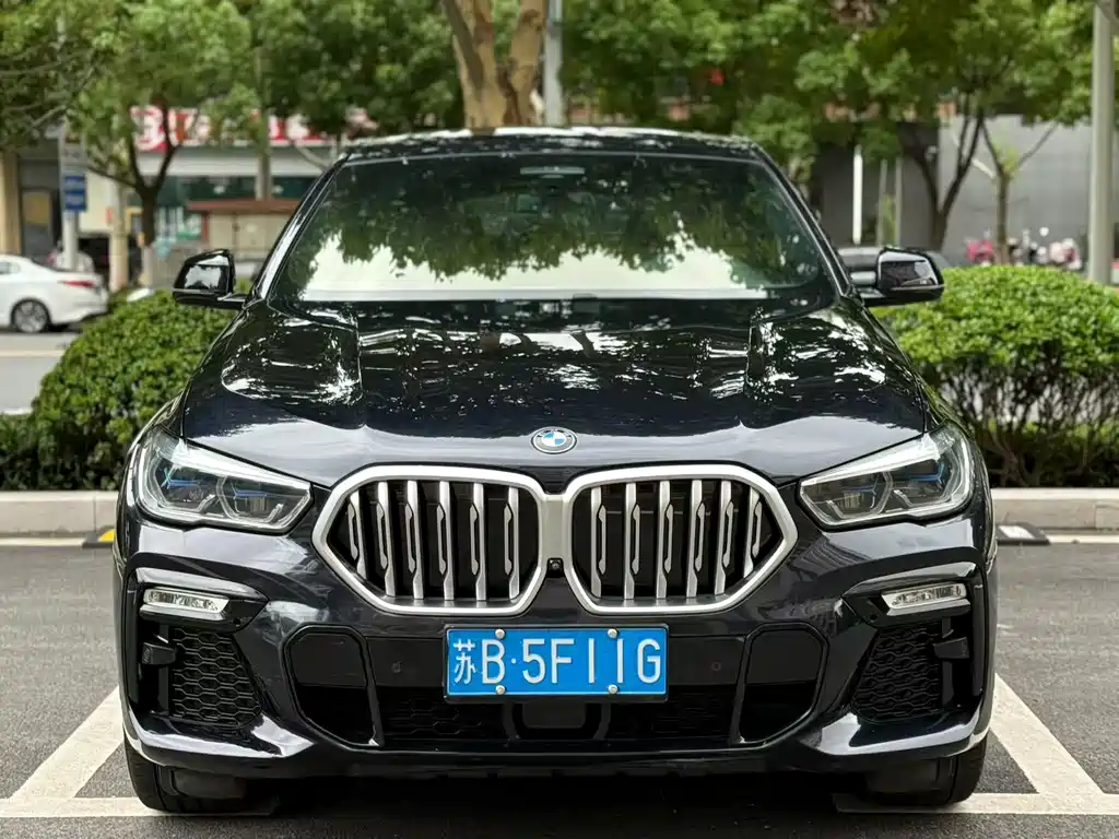 BMW X6 2021