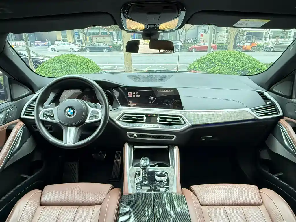 BMW X6 2021