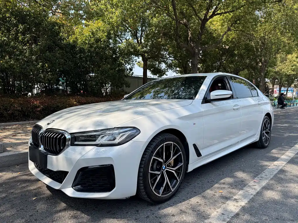 BMW 5 Series 2019 — фото 1